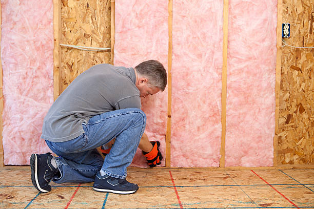 Professional Insulation in Pierre Part, LA